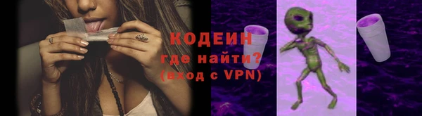 индика Липки