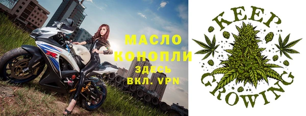 индика Липки