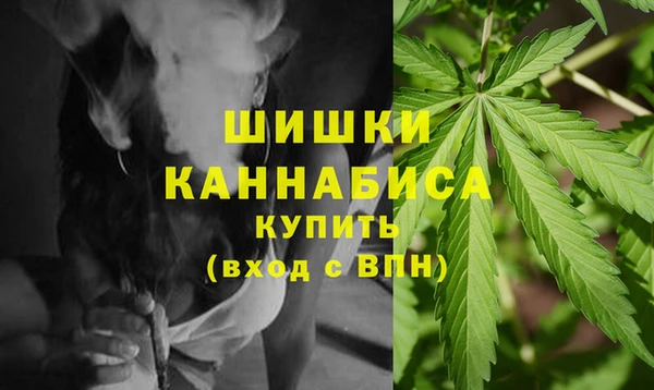 индика Липки
