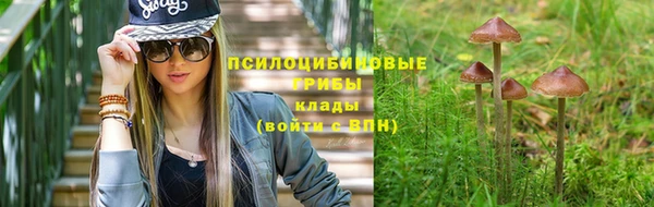 индика Липки