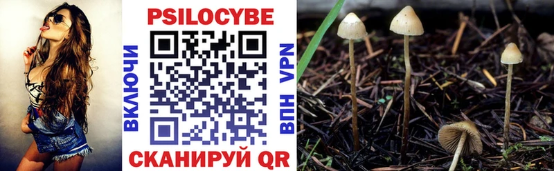 Галлюциногенные грибы Psilocybine cubensis  Купить где  Калязин 